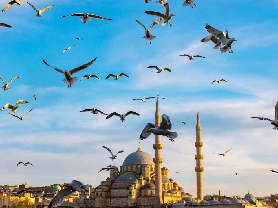 طراحی وبسایت رزرواسیون تکنو تراول